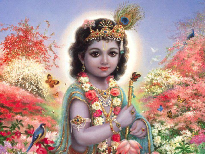 krishna